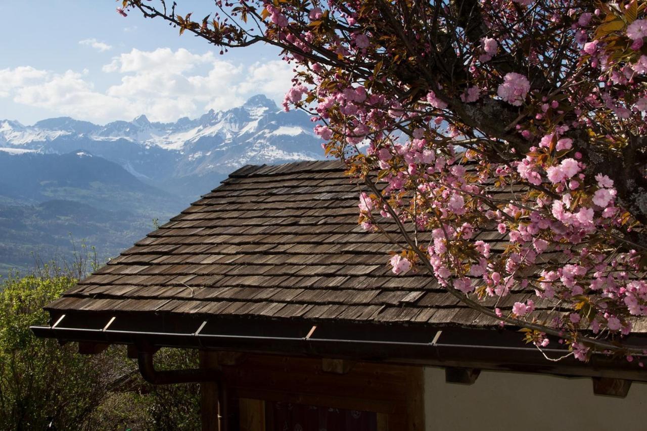 Chalet Cosy Proche Tramway Du Mont-Blanc Et Centre 圣热尔韦莱班 外观 照片