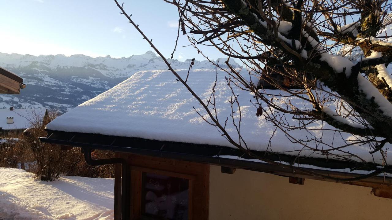 Chalet Cosy Proche Tramway Du Mont-Blanc Et Centre 圣热尔韦莱班 外观 照片